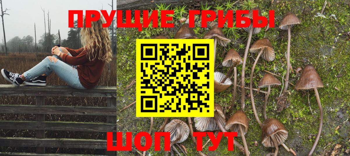Псилоцибиновые грибы MAGIC MUSHROOMS  Псилоцибиновые грибы GOLDEN TEACHER  Алексин  Вход с VPN 