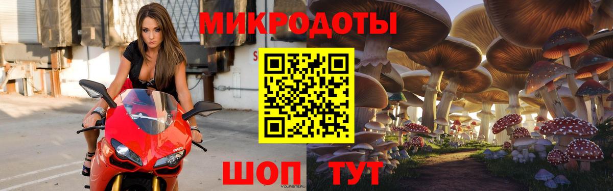 Галлюциногенные грибы MAGIC MUSHROOMS Алексин